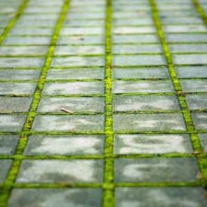 Dış Mekan Karoları 4